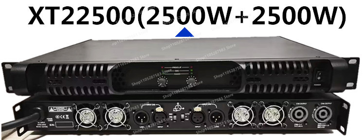 Professional Class D switching - Class D Amplifier ulasan dan harga