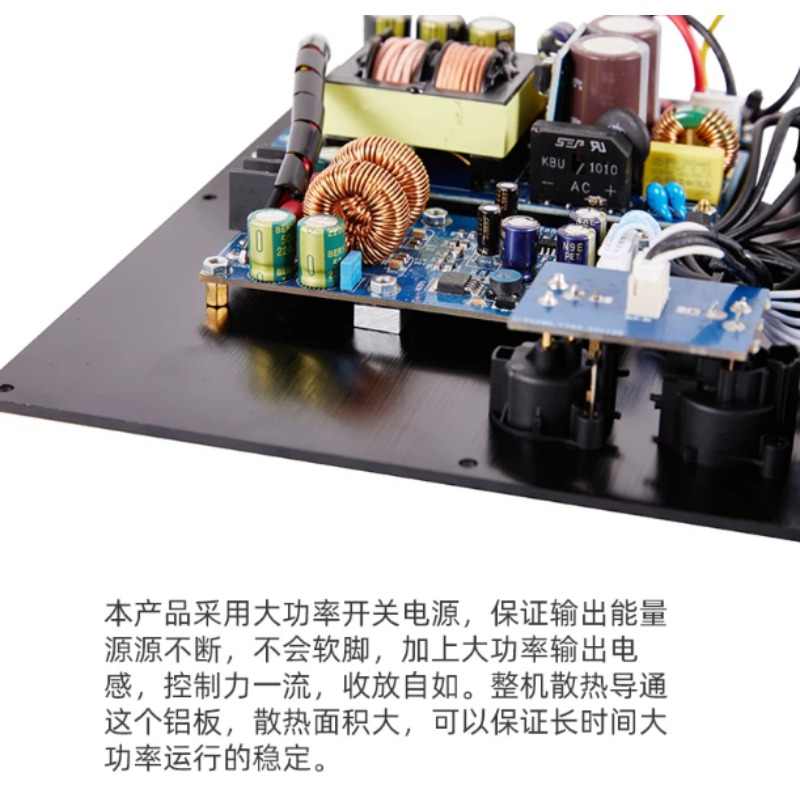 Balanced Signal Input TPA3255  - Hifi Amplifier Board ulasan dan harga