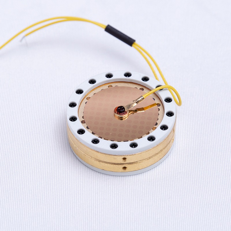 RK-87 Large Diaphragm Micropho - Microphone Capsule ulasan dan harga