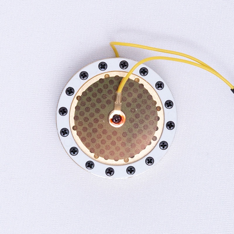 RK-87 Large Diaphragm Micropho - Microphone Capsule ulasan dan harga