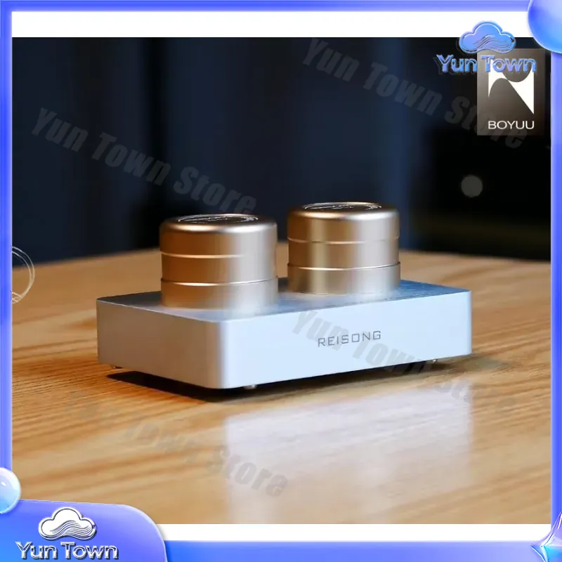 for Boyuu BYPT2T for Reisong P - Passive Preamp ulasan dan harga