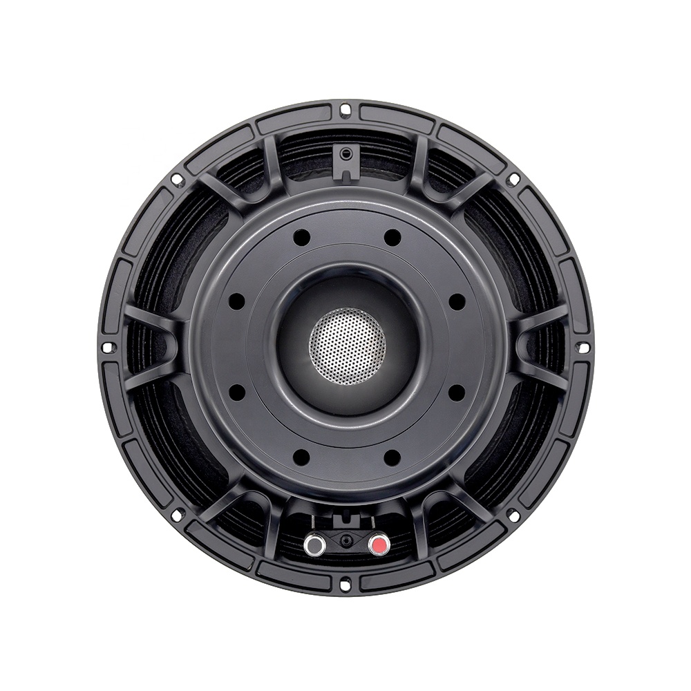 12DS Pro Audio Equipment 12''  - Subwoofer ulasan dan harga
