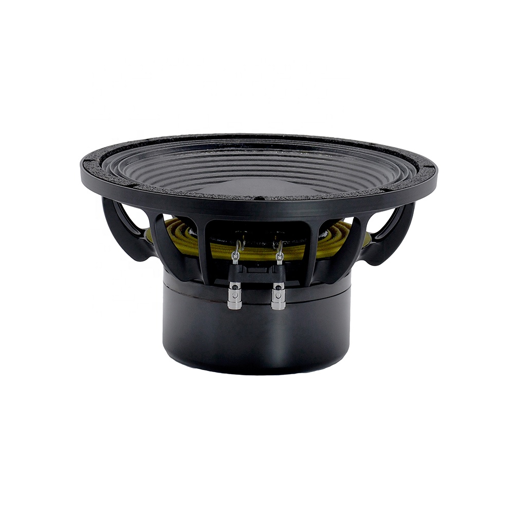 12DS Pro Audio Equipment 12''  - Subwoofer ulasan dan harga