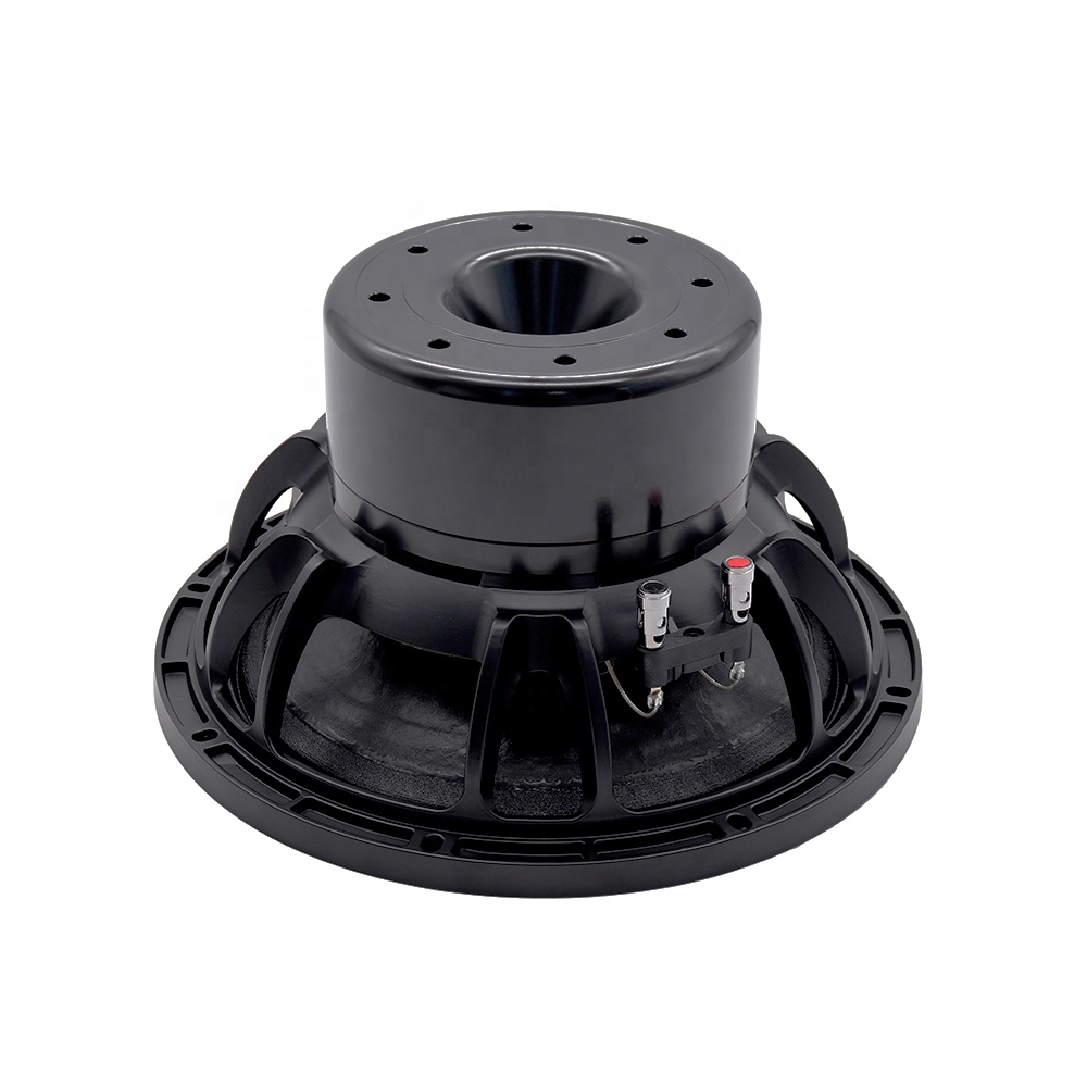 12DS Pro Audio Equipment 12''  - Subwoofer ulasan dan harga
